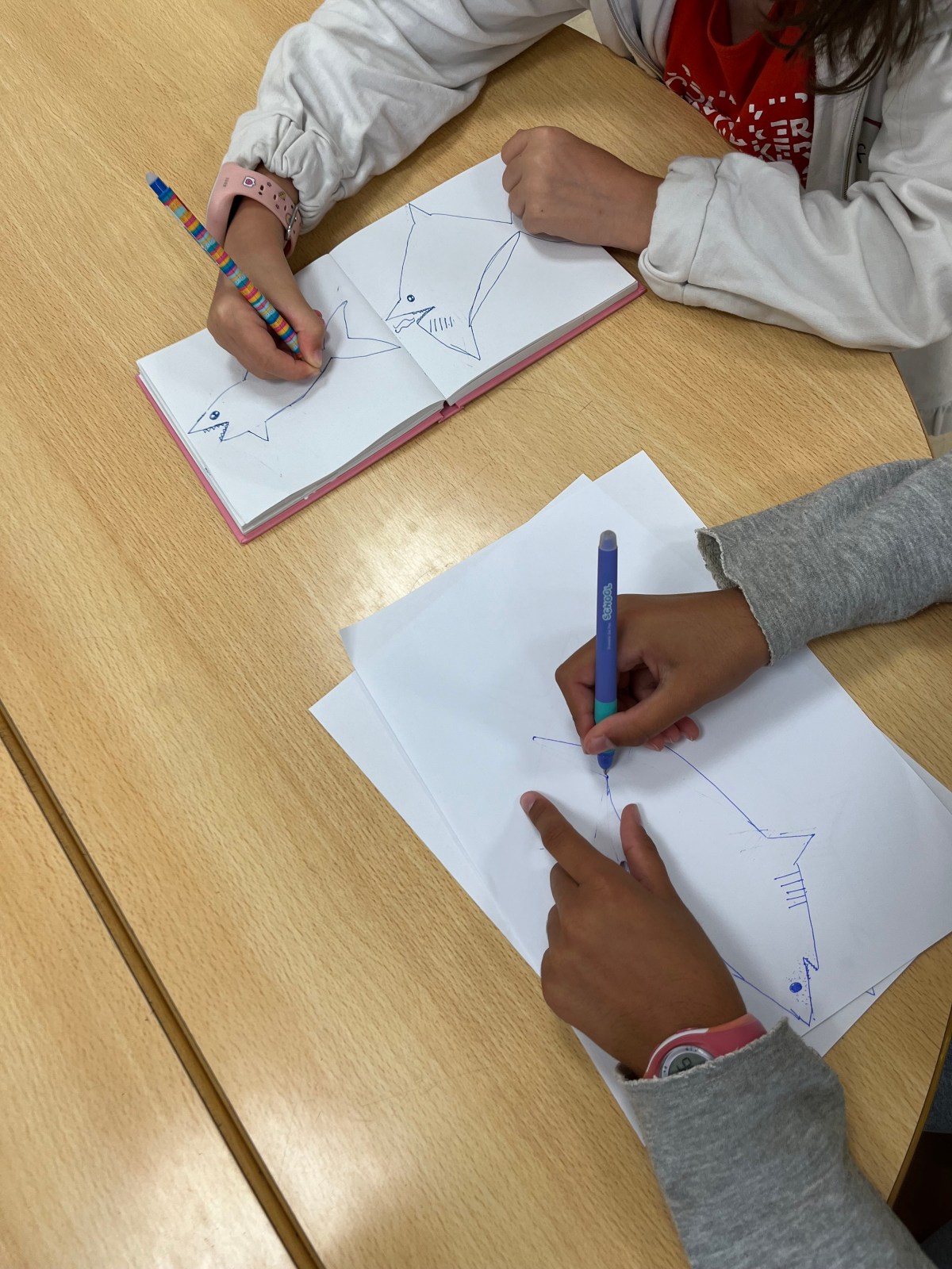 Shark Awareness Workshop at Regeneration Festival: Inspiring Students for Shark&nbsp;Conservation