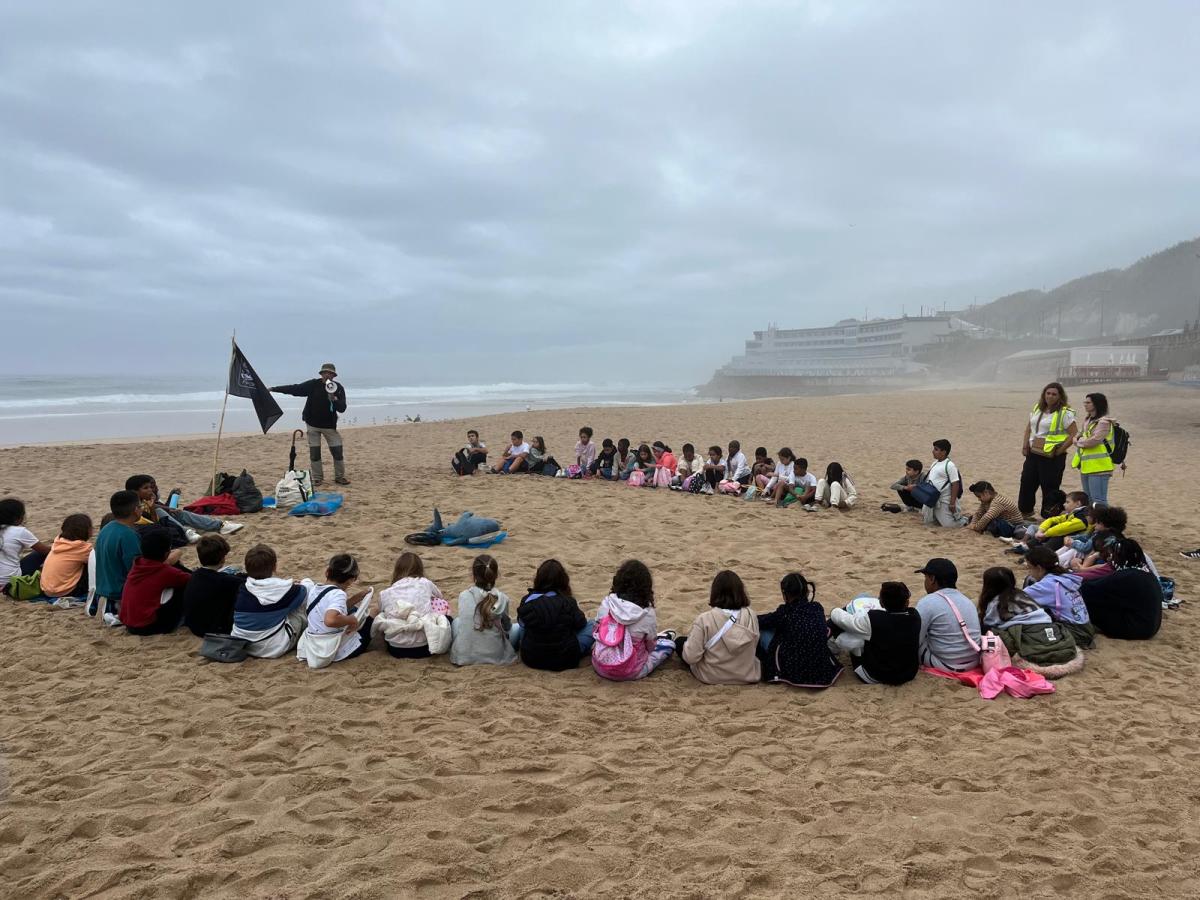 Enhancing Ocean Education for Shark&nbsp;Awareness