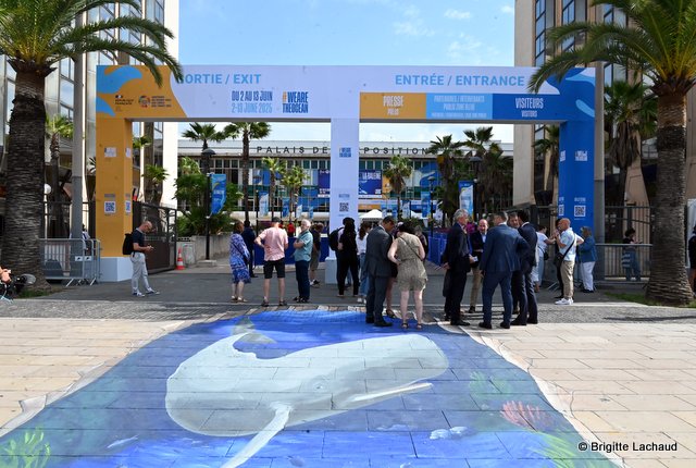 UN Ocean Conference 2025: Key Outcomes and&nbsp;Commitments