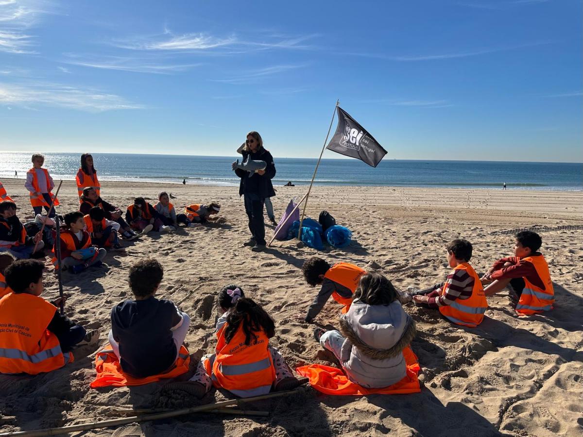 Teachers4Sharks – Protecting sharks through ocean literacy, image size:1200x900